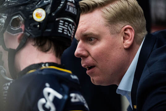 HV71s tränare Anton Blomqvist