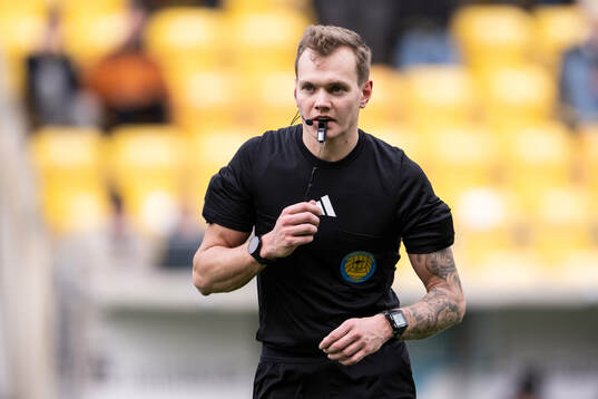 Domare Fredrik Alknäs