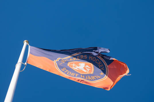 Växjös flagga