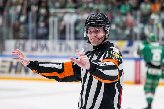 Domare Daniel Eriksson