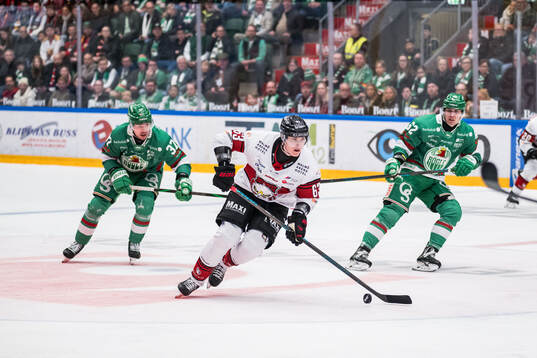 Och Malmö Redhawks Fredrik Händemark och