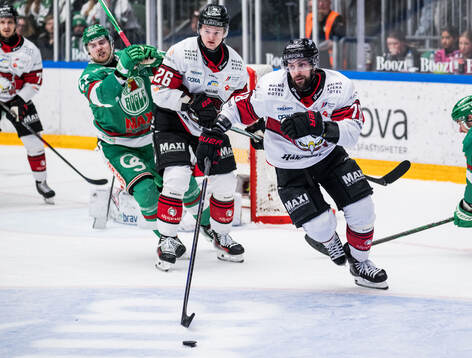 Malmö Redhawks Robin Hanzl
