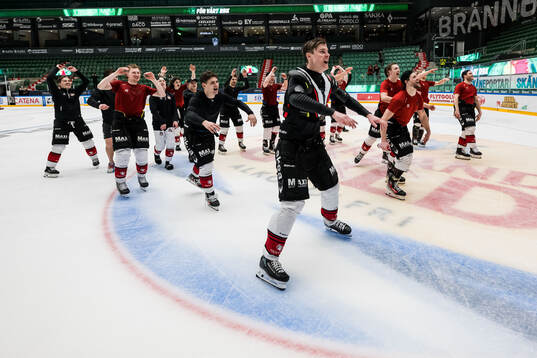 Malmö Redhawks Fredrik Händemark jublar