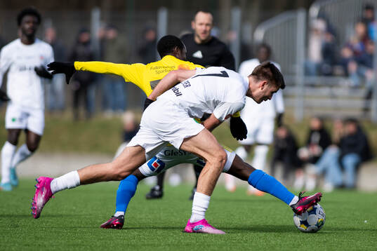 Helsingborgs Wilhelm Loeper och Falkenbergs Wanbe Godwin