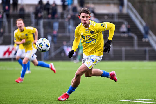 Falkenbergs Adam Ekenhard