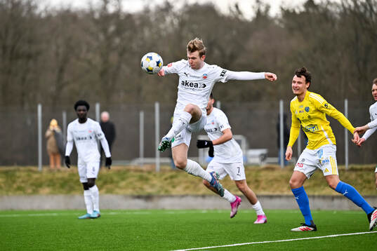 Helsingborgs William Westerlund