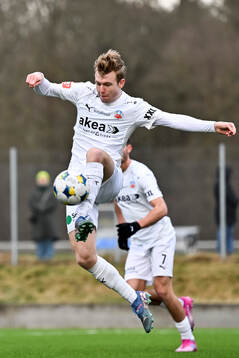 Helsingborgs William Westerlund