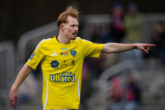 Falkenbergs Linus Borgström