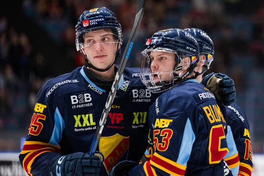 Djurgårdens David Blomgren jublar