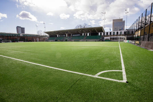 Hammarby IP