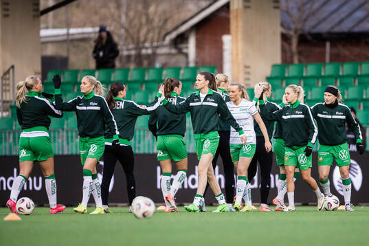 Hammarbys spelare