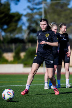 Elin Flakberg