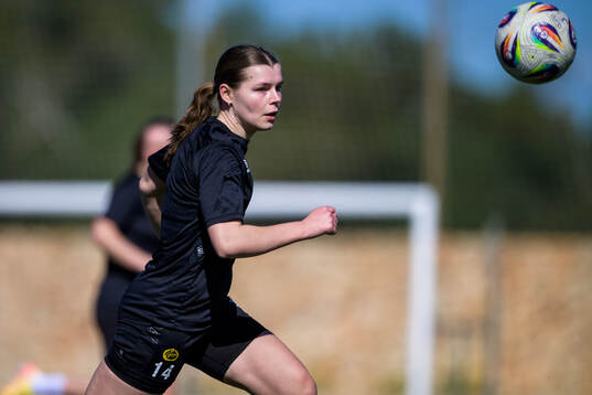 Elin Flakberg