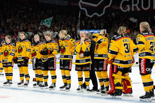 Luleås spelare deppar