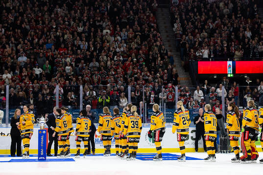 Luleås spelare får silvermedaljer