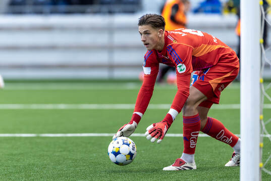 IFK Norrköpings målvakt David Andersson
