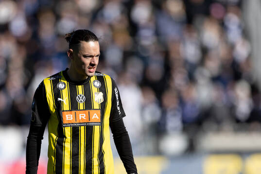 Häckens Amor Layouni