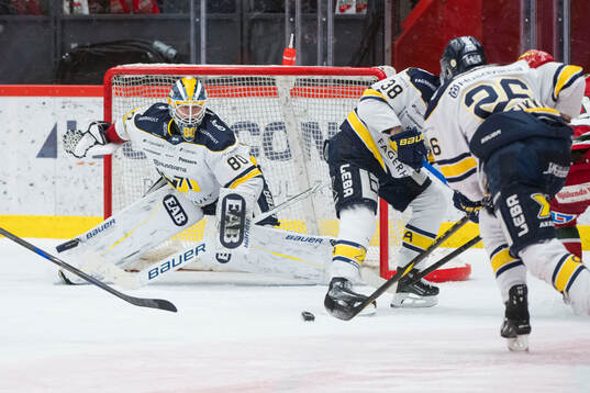 HV71s målvakt Frederik Dichow