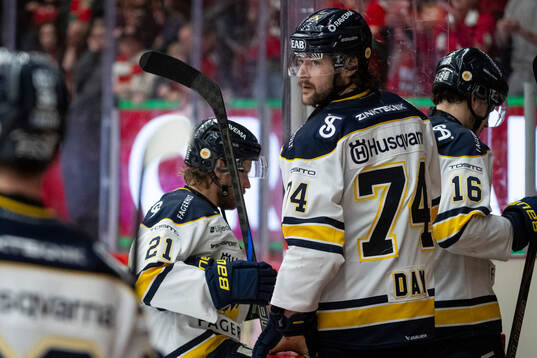 HV71s Mattias Tedenby och Sean Day deppar