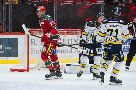 Modos Sam Vigneault jublar