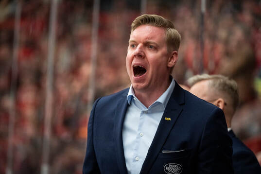 HV71s tränare Anton Blomqvist