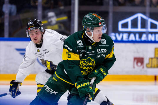 Björklövens Daniel Viksten
