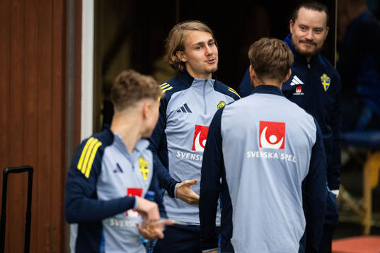Sebastian Nanasi of the Swedish men's national football team