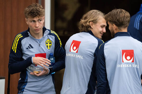 Hugo Bolin of the Swedish men's national football team