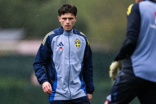 Besfort Zeneli of the Swedish men's national football team