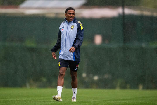 Niclas Eliasson of the Swedish men's national football team