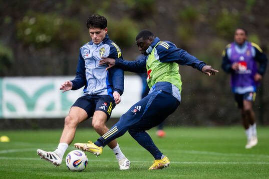 Besfort Zeneli and Ken Sema of the Swedish men's national