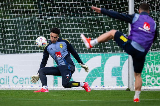 Goalkeeper Oliver Dovin of the Swedish men's national