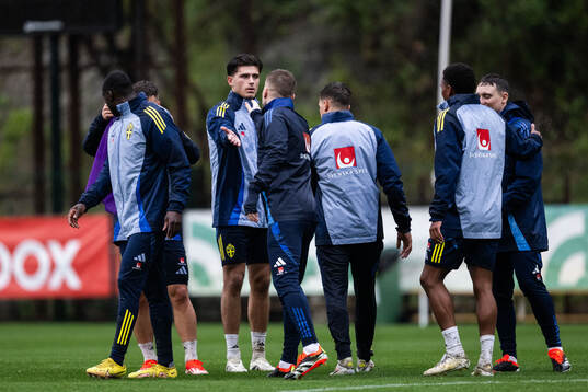 Besfort Zeneli of the Swedish men's national football team