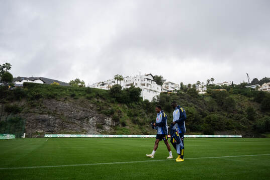 Niclas Eliasson and Ken Sema of the Swedish men's national
