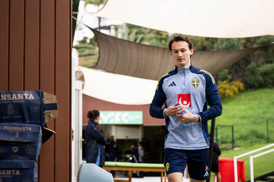 Hjalmar Ekdal of the Swedish men's national football team