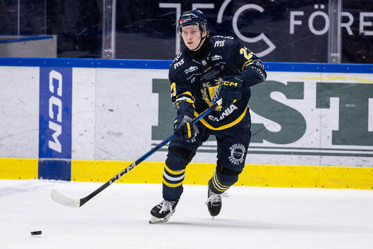 Södertäljes Egor Polin