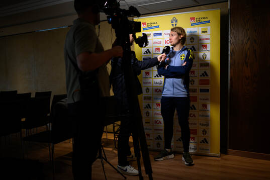 Sebastian Nanasi of the Swedish men's national football
