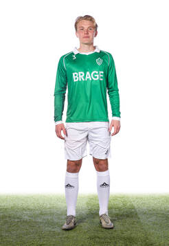 Brages Teodor Wålemark