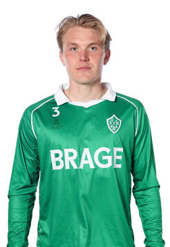 Brages Teodor Wålemark