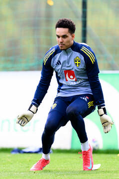 Goalkeeper Oliver Dovin of the Swedish men's national