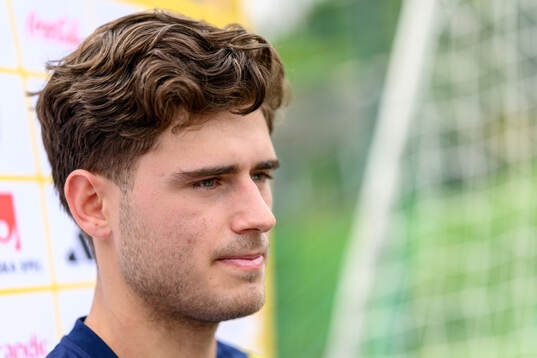 Besfort Zeneli of the Swedish men's national football team