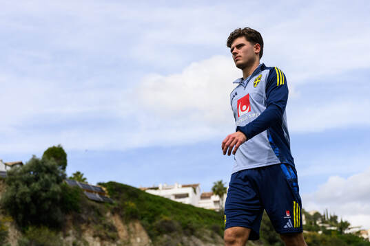 Besfort Zeneli of the Swedish men's national football team