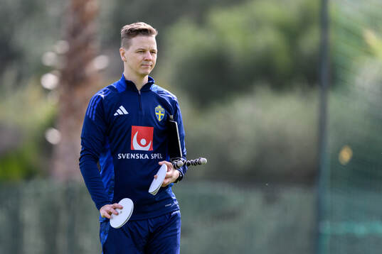 Goalkeeper coach Maths Elfvendal of the Swedish men's
