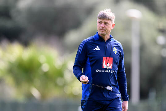 Head coach Jon Dahl Tomasson of the Swedish men's national