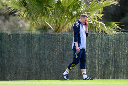 Head of football at the Swedish football federation Kim