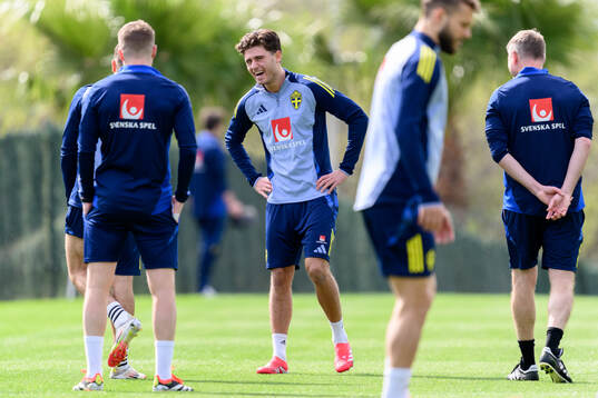 Besfort Zeneli of the Swedish men's national football team