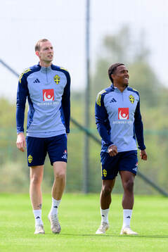 Gustaf Nilsson and Niclas Eliasson of the Swedish men's