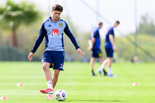 Besfort Zeneli of the Swedish men's national football team