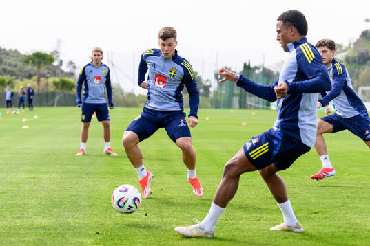 Samuel Dahl of the Swedish men's national football team