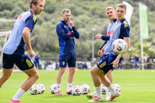 Assistant coach Sebastian Larsson of the Swedish men's